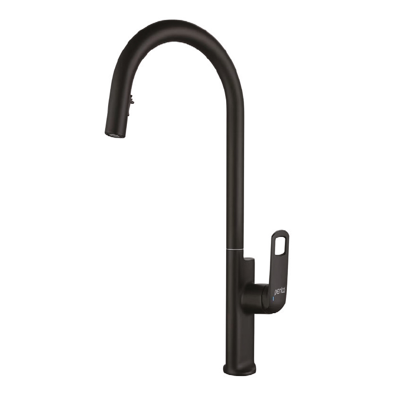 1321B Black Spiral Kitchen Sink (Mixer) Tap