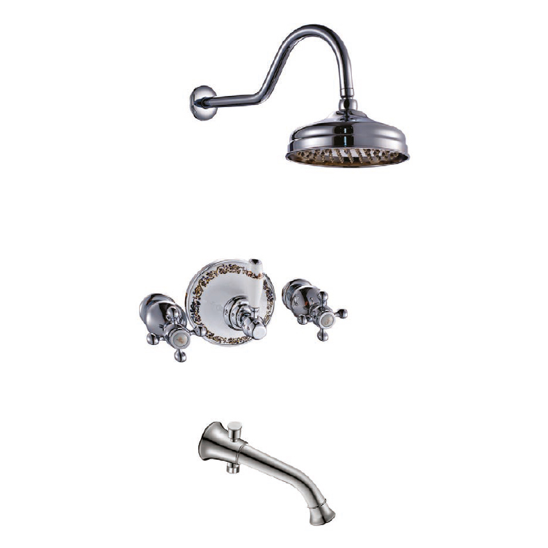 3429 Anatolia Wall-Mounted Concealed Shower System (Beak with Divertor)